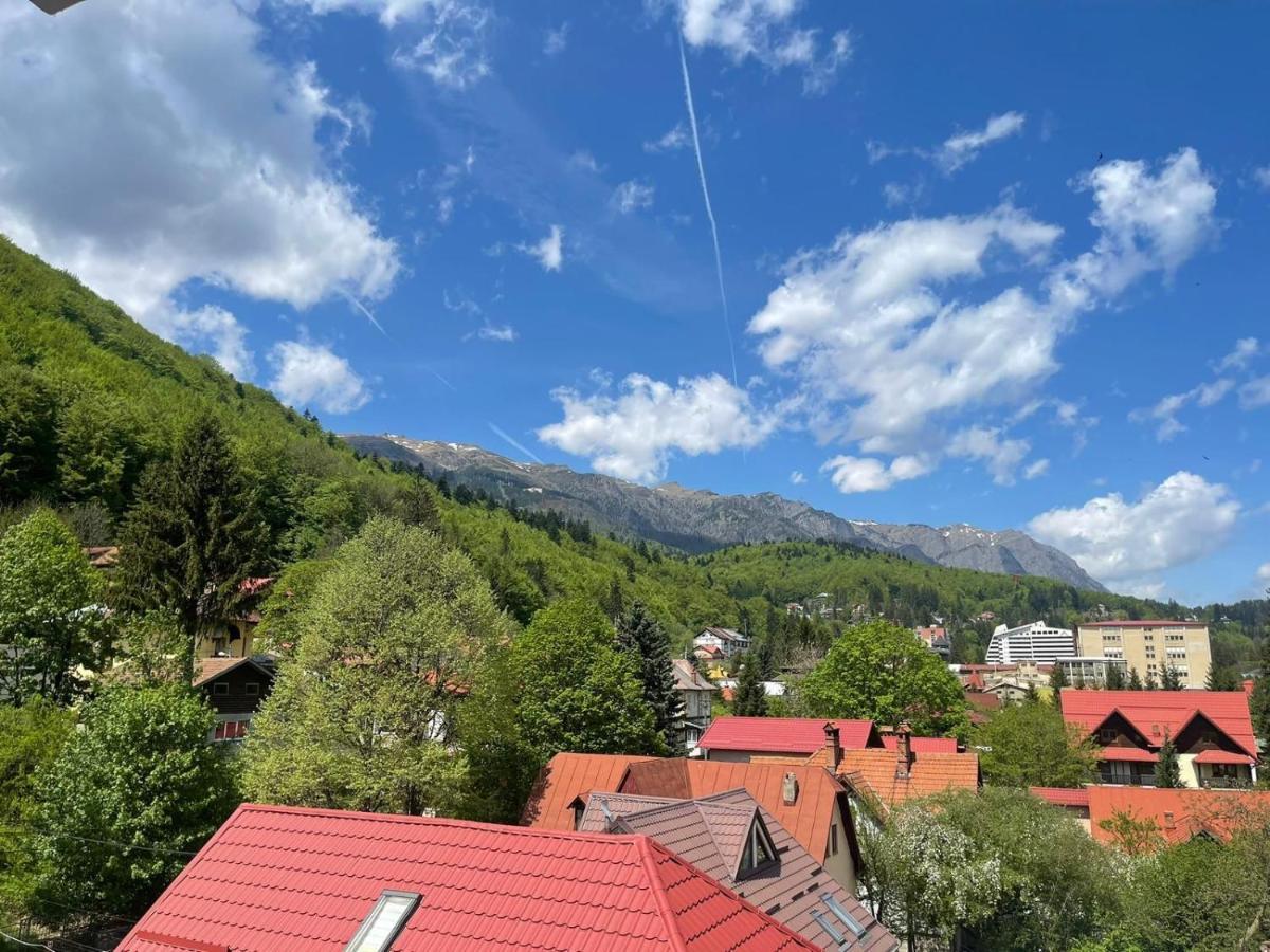 Mountain View Appartement Sinaia Buitenkant foto
